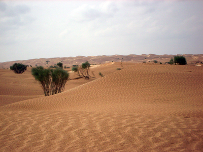 Site de rencontre tunisien serieux