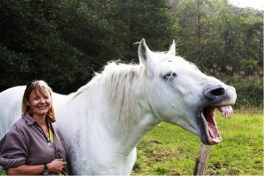 Stage accompagnement en développement par les chevaux-Rhône-Alpes