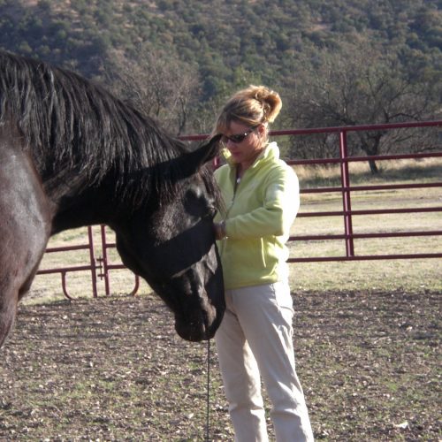 Pourquoi travailler avec les chevaux en développement personnel ?