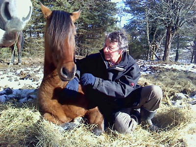 Jean-Marie BRUN Développement personnel et Cheval-Rhône-Alpes