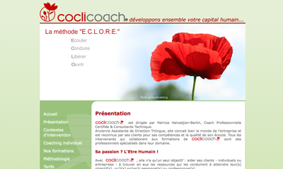 Site internet coclicoach ()