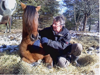 Jean-Marie BRUN: Développement personnel et Cheval