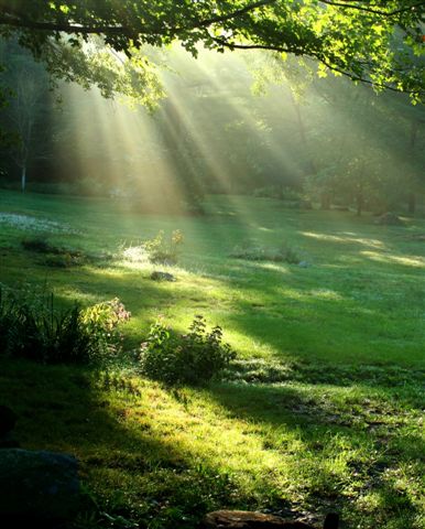 Martine Destandau : Naturopathie-Irrigation du côlon-PACA