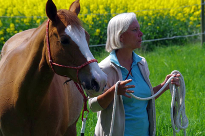 Equi Evolution _Guidé(e)s par la Sagesse des Chevaux_ Formations en Professions Alternatives_Tenerife_Belgique