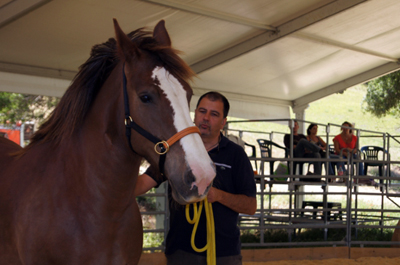 Equilife Coaching – Provence Alpes Côte d’Azur