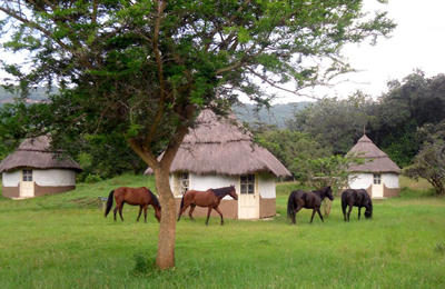 Développement personnel par le Cheval au Kenya – Wild Routes of Kenya