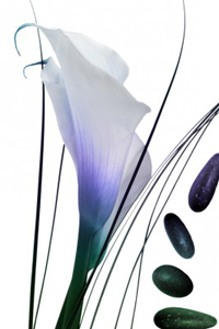 Mireille-Lusseau-logo ()