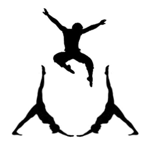 Yoga et arts martiaux