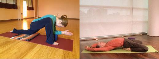 LE_PSOAS_DANS_LE_YIN_YOGA