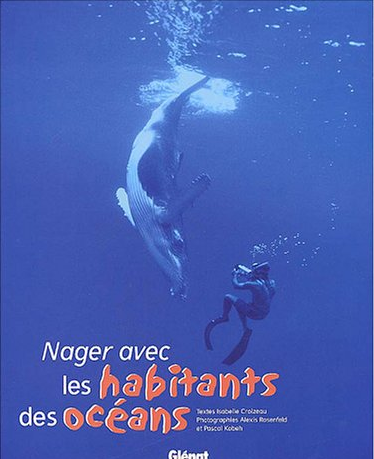 Nager avec les dauphins