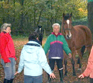 Chevaux et Shamanisme