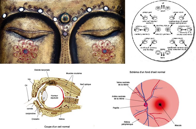 Yoga Cherissons nos yeux avec le yoga des yeux Neo Bien etre