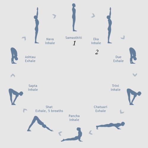 Yoga-Surya Namaskar