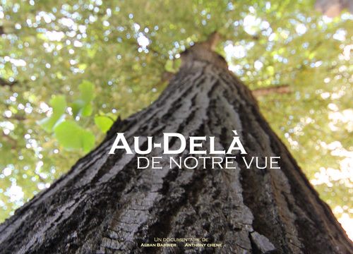 Films spirituels-Au-delà de notre vue de de Alban Barbier et Anthony Chene