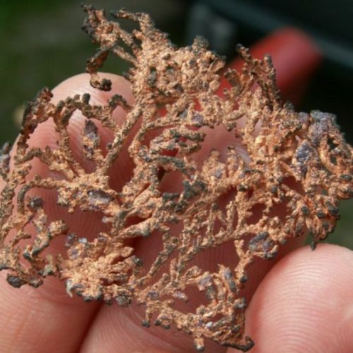 Bienfaits des minéraux-Dendrite de cuivre