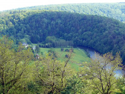 ecole_dao_feng_shui ()