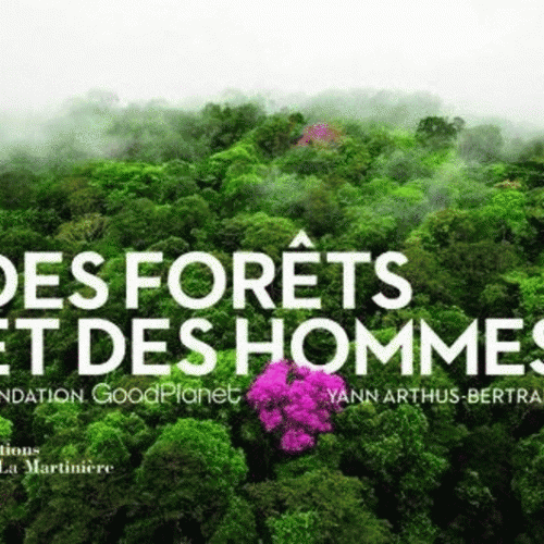 Documentaire-Des forêts et des hommes de Yan Arthus Bertrand