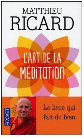 Livre de développement personnel-L’art de la méditation de Matthieu Ricard