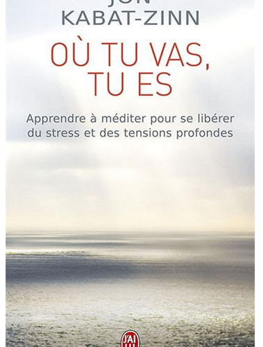 Livre de développement personnel-Où tu vas, tu es de Jon Kabat-Zinn