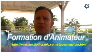 Devenez animateur en auxiliothérapie