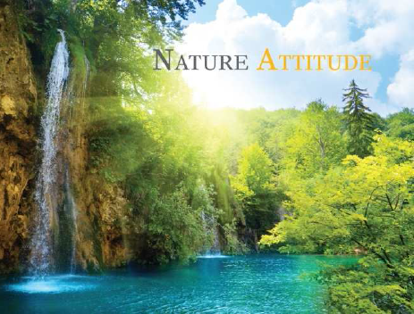 Le Coaching Nature Attitude : qu’est-ce que c’est ?