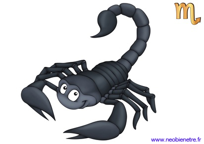 Signe du Zodiaque-Le Scorpion