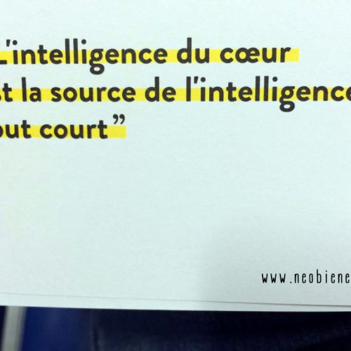 L’intelligence du coeur est la source de l’intelligence tout court