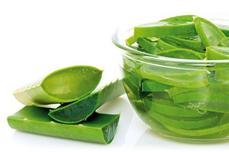 Comment conserver votre beauté, votre santé, votre vitalité avec l’aloe vera ?