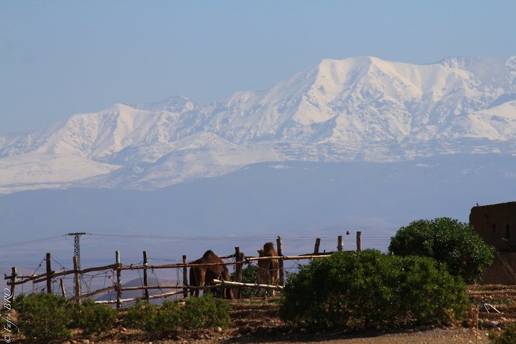 terre_des_etoiles_maroc6 ()