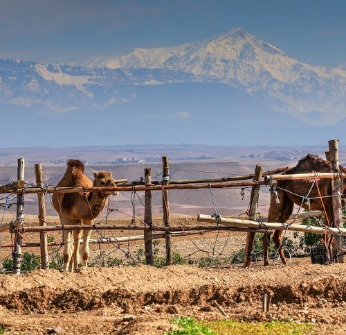 Terre des Etoiles-Lieu pour stage en développement personnel-Maroc