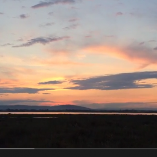 Méditation du monde au coucher de soleil