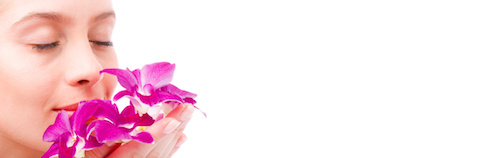 orchid banner