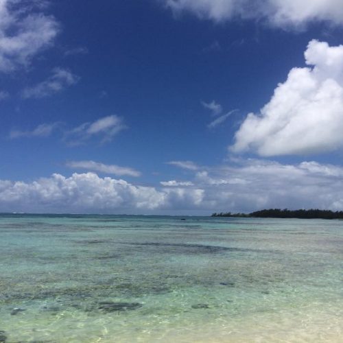 Méditation du monde à Île Maurice avec Neo-bienêtre