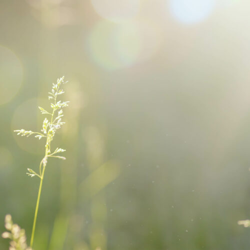 Les activités DIY pour soulager le stress et améliorer la concentration