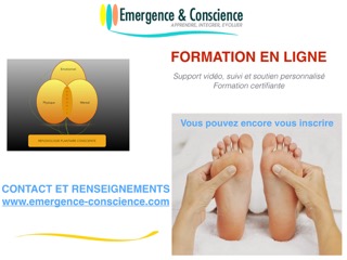 Formation Réflexologie Plantaire Consciente – Cycle 1