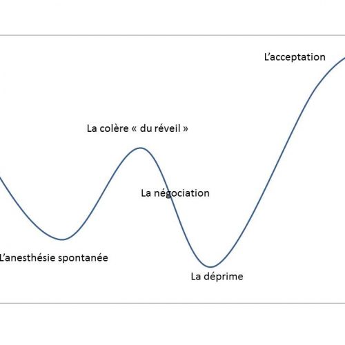 Les stratégies face à l’inacceptable