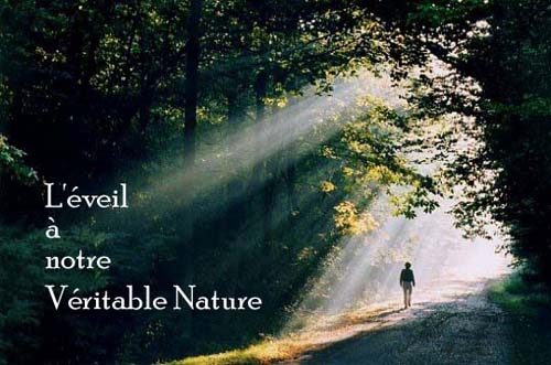 L’éveil à notre véritable nature – 2 ème partie