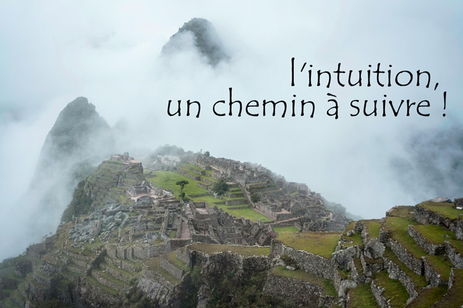 lintuition_un_chemin_a_suivre