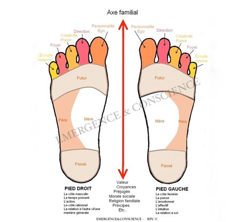 La lecture Pyscho-Emotionnelle des pieds