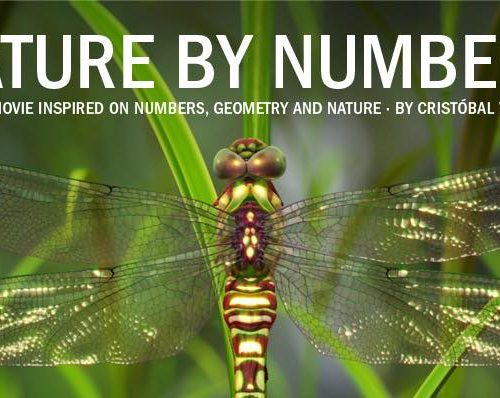 Nature by numbers, la nature par les chiffres