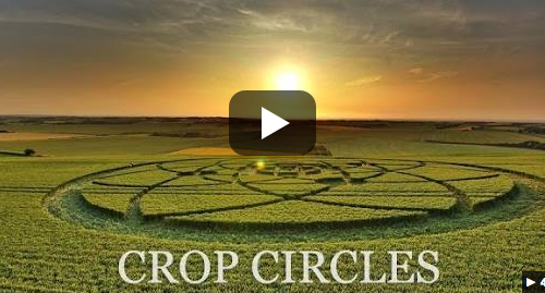 Entretien avec Umberto Molinaro : Crop Circles