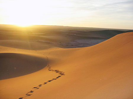 Stage au Maroc….Pourquoi ?