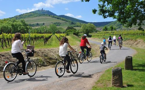 La Route des Vins d’Alsace, vélo, yoga et méditation du 13 au 20 août 2016