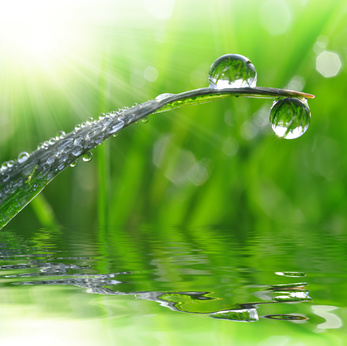 L’eau d’orage, la potion magique des temps modernes