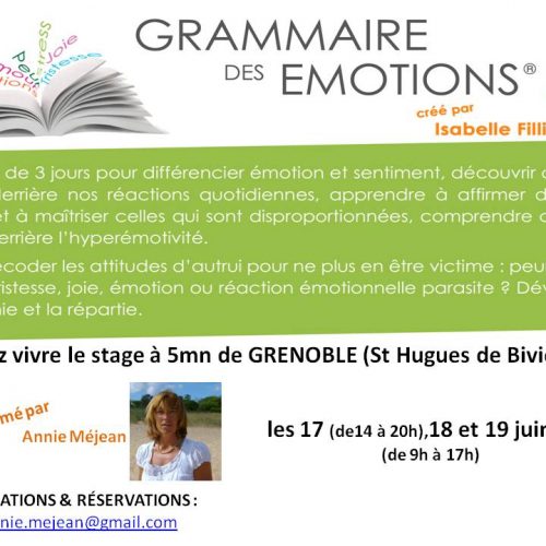 STAGE GRAMMAIRE DES EMOTIONS