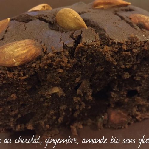 Gâteau au chocolat, gingembre et amande bio sans gluten