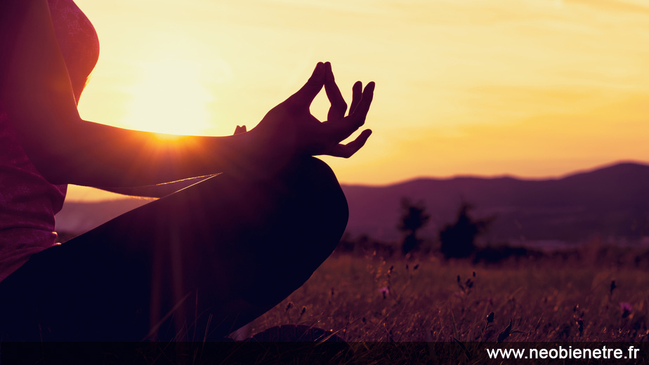 Journée mondiale du yoga