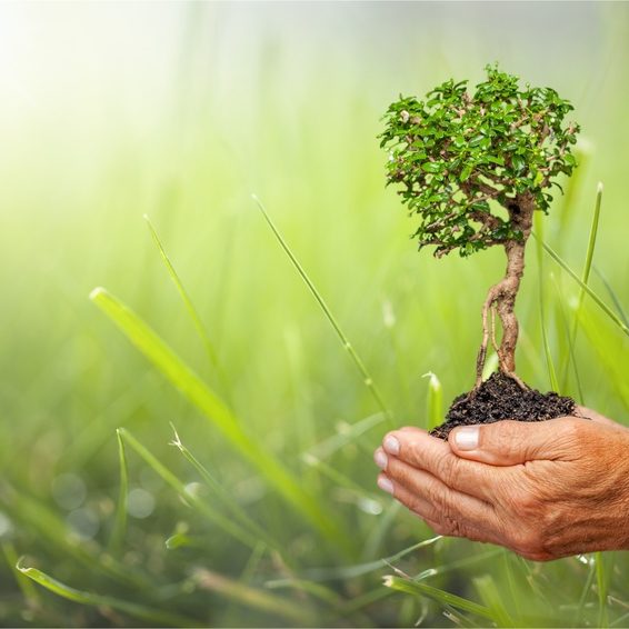 Neo-bienêtre : Produit naturel/ethique/bio