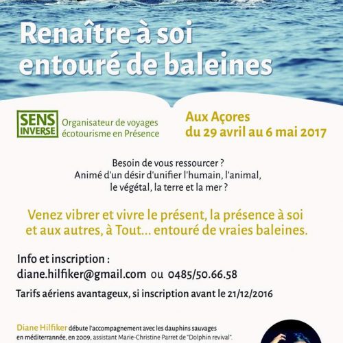 Açores, céta-danse, voyage organisé par www.sensinverse.com