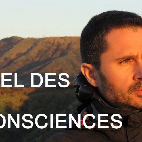 L’éveil des consciences avec Julien Peron